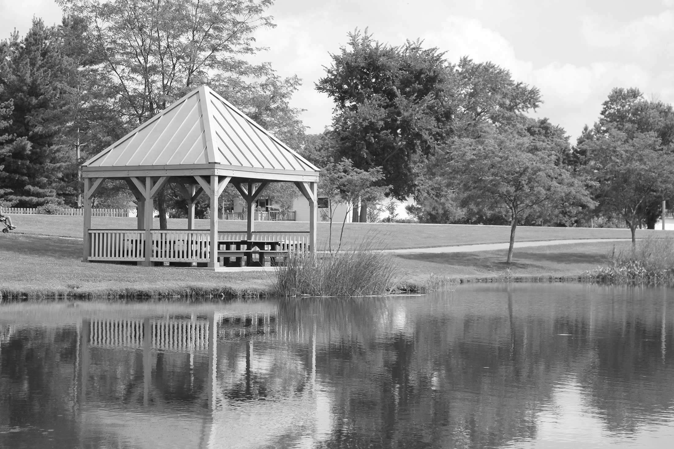 pond view at Smile Hilliard